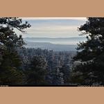 DSC_3388.JPG 162.4K