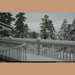 DSC_5596.JPG 169.8K