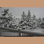 DSC_5599.JPG 145.7K