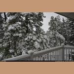 DSC_5600.JPG 237.2K