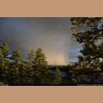 DSC_5632.JPG 145.6K