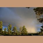 DSC_5633.JPG 109.6K