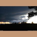 DSC_5642.JPG 53.8K