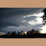 DSC_5644.JPG 68.3K