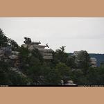 DSC_9529.JPG 104.2K