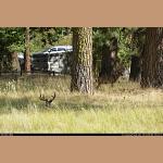 DSC_9608.JPG 241.7K