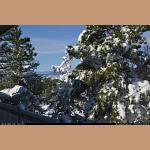 DSC_3510.JPG   196.4K