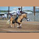 DSC_0110.JPG   134.5K