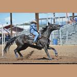 DSC_0132.JPG   141.1K