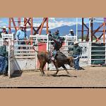 DSC_0202.JPG   182.4K