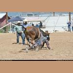 DSC_0213.JPG   151.2K