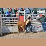 DSC_0252.JPG   176.6K