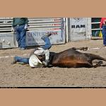DSC_0258.JPG   139.5K