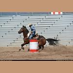 DSC_0339.JPG   137.9K