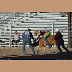 DSC_0638.JPG   114.3K
