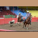 DSC_7413.JPG   161.8K