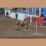 DSC_7504.JPG   165.2K