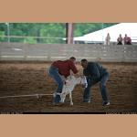DSC_8490.JPG   82.5K