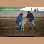 DSC_8514.JPG   94.4K
