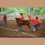 DSC_8552.JPG   113.9K