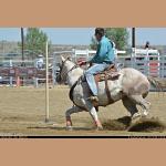 DSC_8898.JPG   133.7K