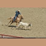 DSC_8985.JPG   157.8K