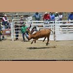 DSC_9190.JPG   159.5K