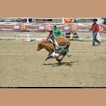 DSC_9286.JPG   150.9K