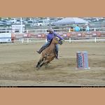 DSC_9407.JPG   139.6K