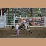 DSC_9483.JPG   147.4K