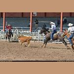 DSC_9836.JPG   169.2K
